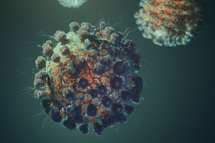 Coronavirus.jpg Coronavirus.jpg
