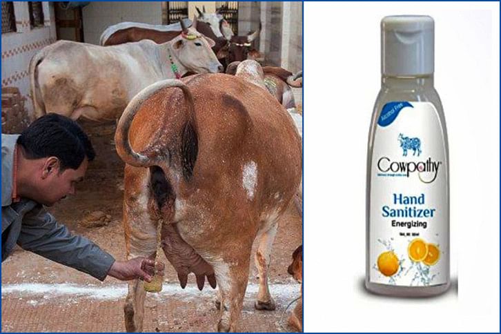 Cow_Sanitizer Cow_Sanitizer