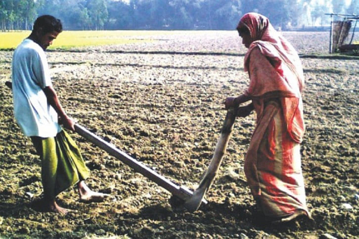 Cultivation Cultivation