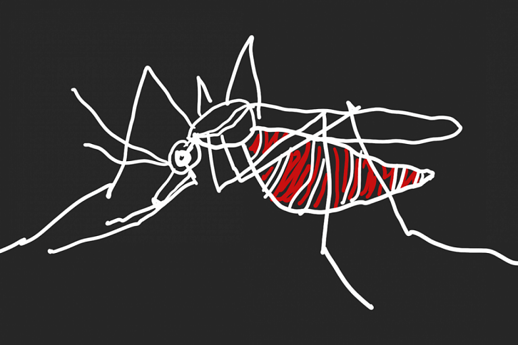 Dengue Dengue
