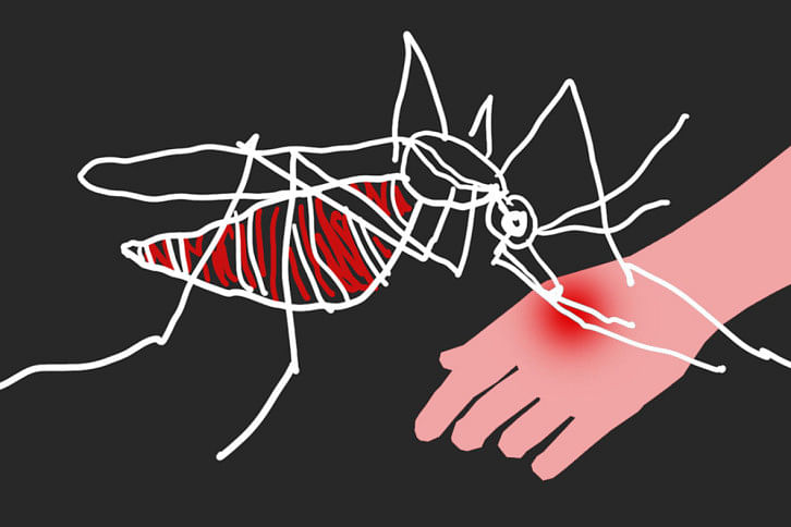 dengue dengue