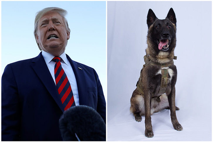 dog 1.jpg dog 1.jpg
