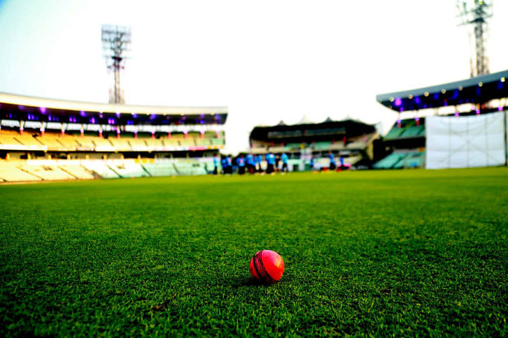 eden pink ball test eden pink ball test