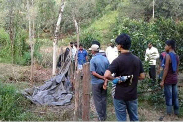 Elephant_Banshkhali.jpg Elephant_Banshkhali.jpg