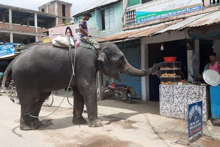 Extortion by elephant.jpg Extortion by elephant.jpg
