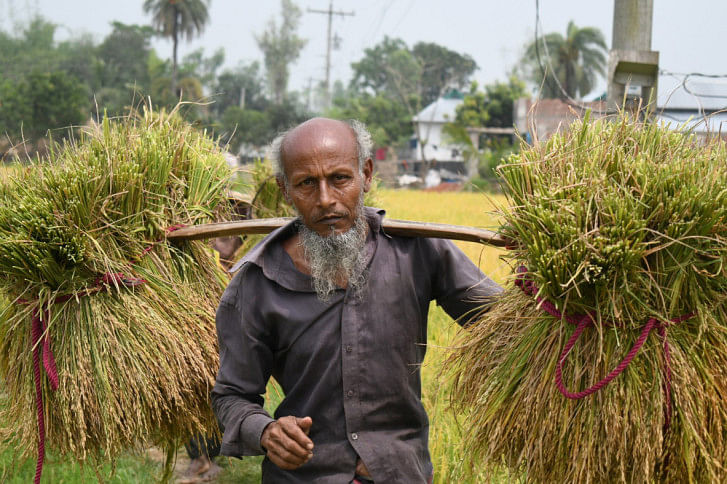 Farmers Farmers