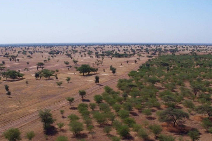 Great Green Wall in Africa Great Green Wall in Africa