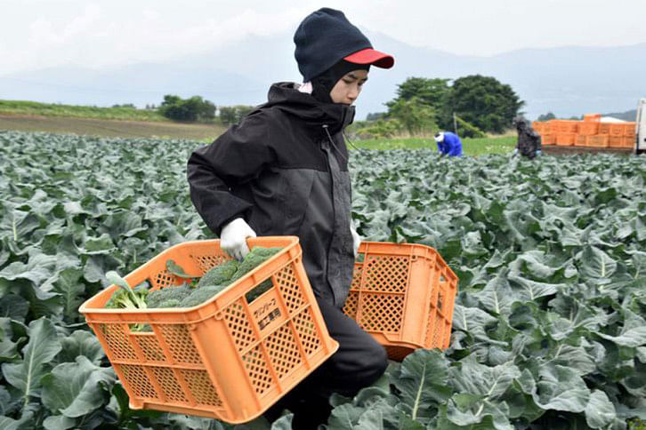 Japan foreign worker Japan foreign worker