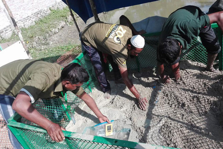 Karamjal_Turtle Karamjal_Turtle