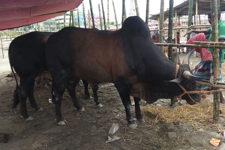 Kubani_Haat_Narayanganj1.jpg Kubani_Haat_Narayanganj1.jpg