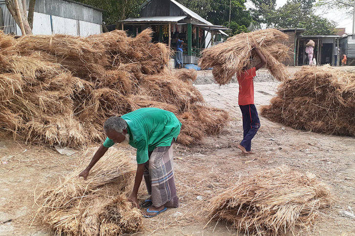 Kurigram_Straw_9Sep20.jpg Kurigram_Straw_9Sep20.jpg