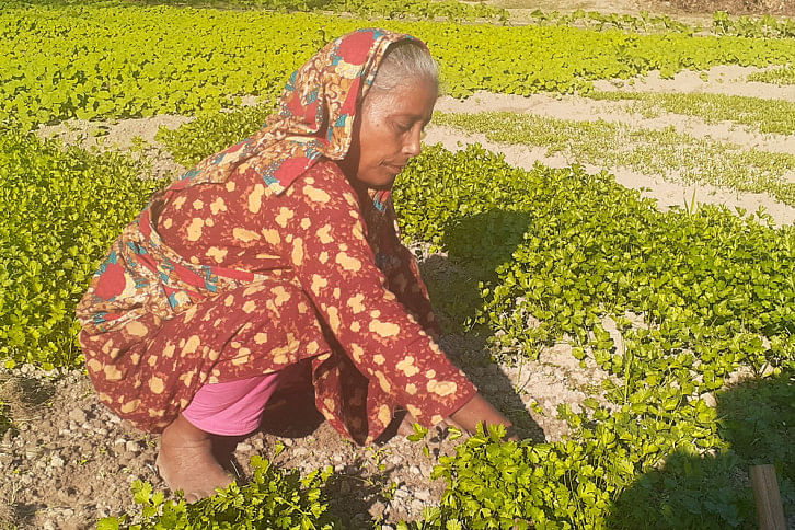 Lalmonirhat-22.jpg Lalmonirhat-22.jpg