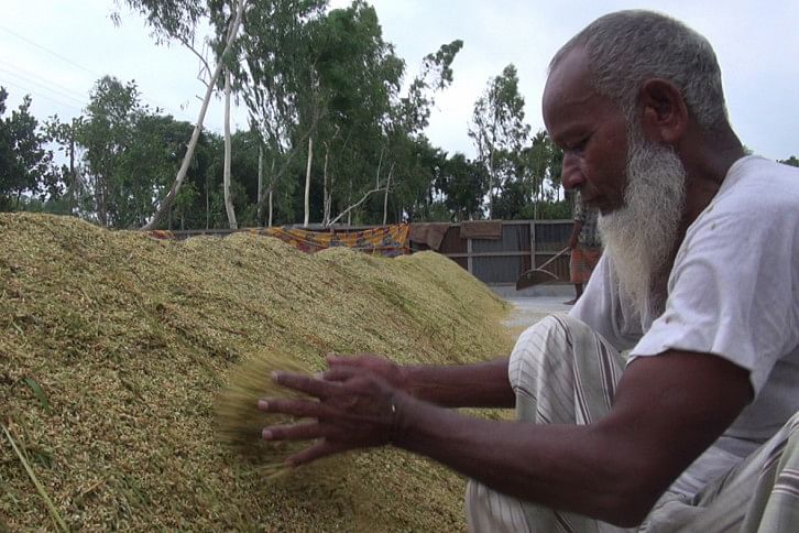 Lalmonirhat Farmer Mantu Mandal Lalmonirhat Farmer Mantu Mandal