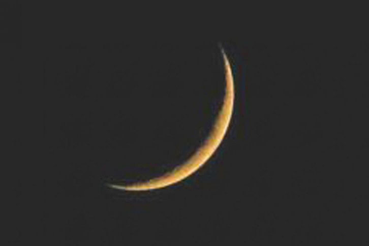 moon moon