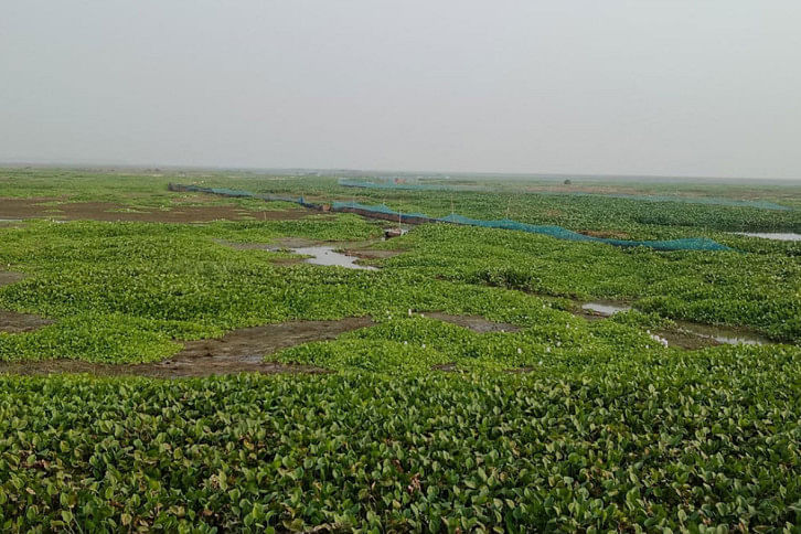 Pabna_Gazonar_Bil_28Nov20.jpg Pabna_Gazonar_Bil_28Nov20.jpg