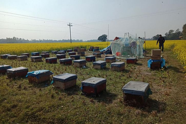 Pabna_Honey_10Jan21.jpg Pabna_Honey_10Jan21.jpg