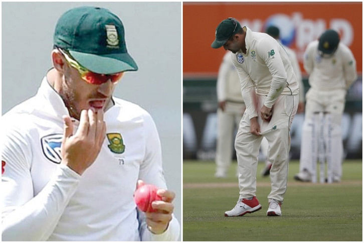 cricket shines the ball cricket shines the ball