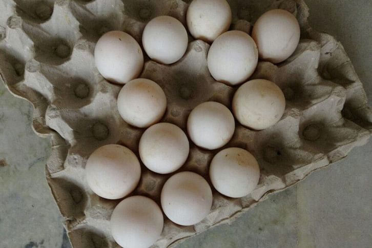 Plastic-egg Plastic-egg