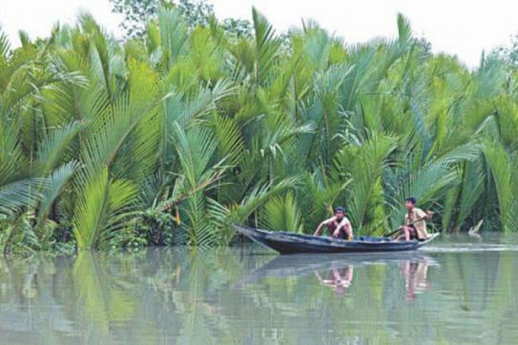 protecting sundarbans protecting sundarbans