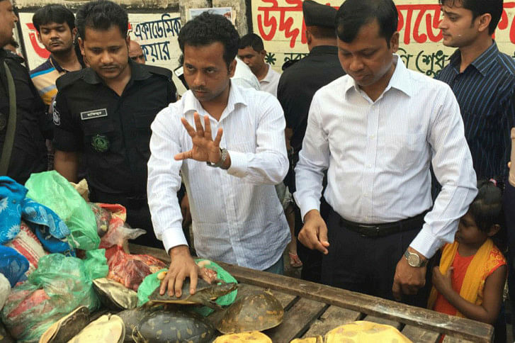 Rab seize turtles Rab seize turtles