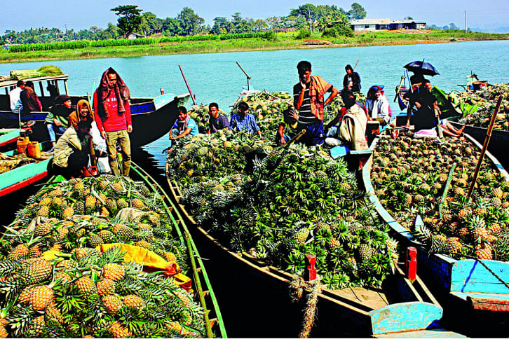 Rangamati_pineapple Rangamati_pineapple