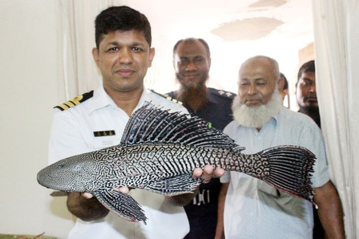 Rare fish Rare fish
