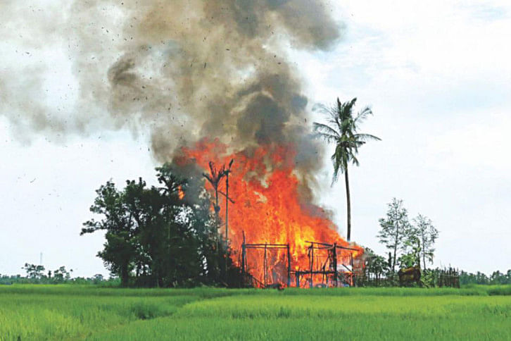 rohingya killing rohingya killing
