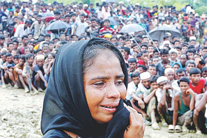 rohingya suffering rohingya suffering