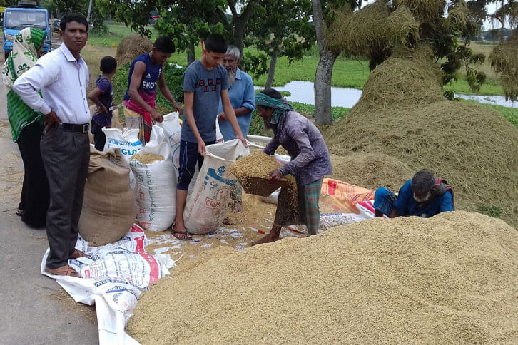 Sunamganj Paddy Sunamganj Paddy
