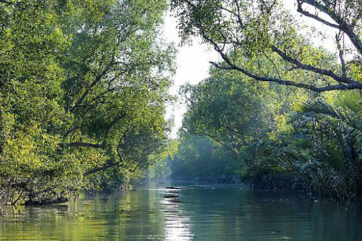 sundarbans sundarbans