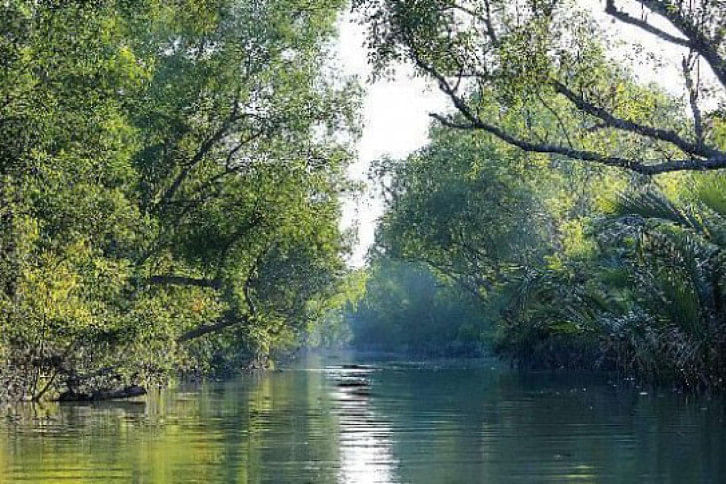 sundarbans sundarbans