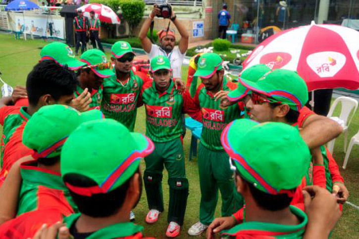 tigers tigers