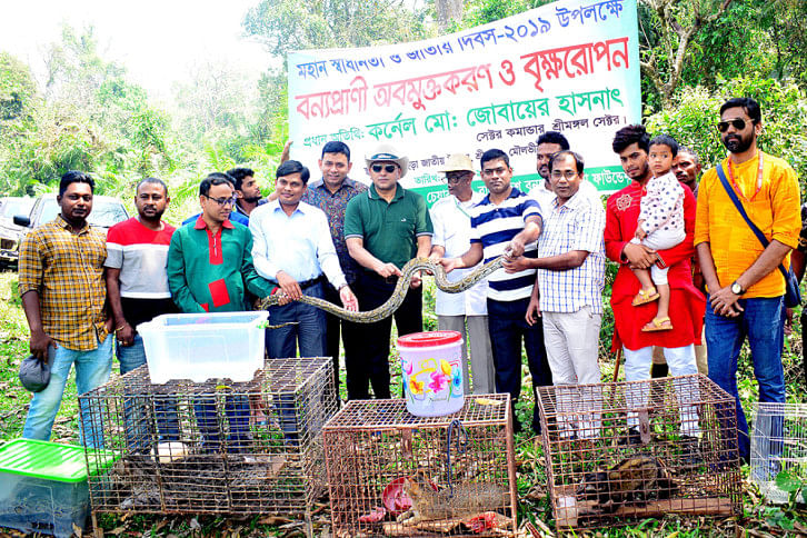 Wild animals released Wild animals released
