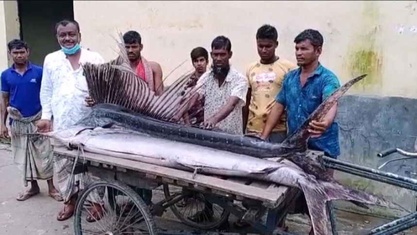 patuakhali_20aug21.jpg patuakhali_20aug21.jpg
