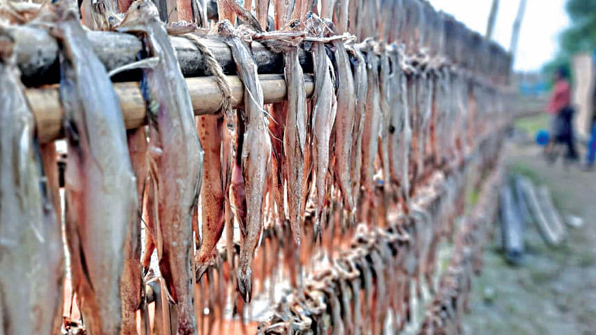 dry_fish_16nov21.jpg dry_fish_16nov21.jpg