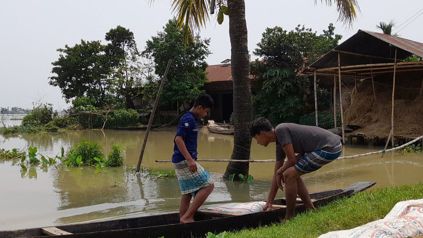 সুনামগঞ্জে ৬৫০ হেক্টর জমির ধান পানির নিচে