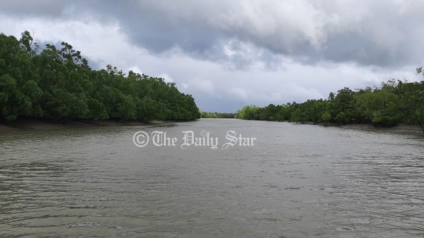 সুন্দরবন সুন্দরবন