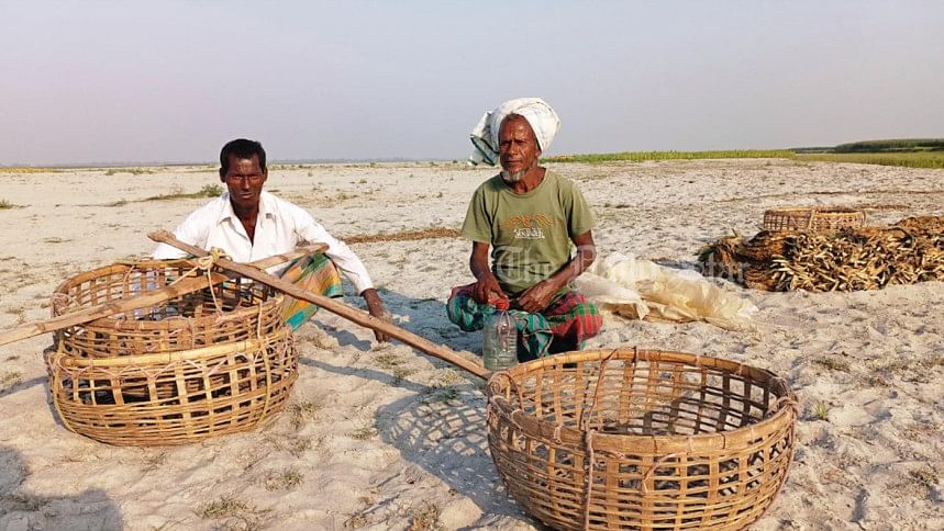 পানিশূন্য তিস্তায় মাইলের পর মাইল বালুচর পানিশূন্য তিস্তায়, মাইলের পর মাইল বালুচর ’