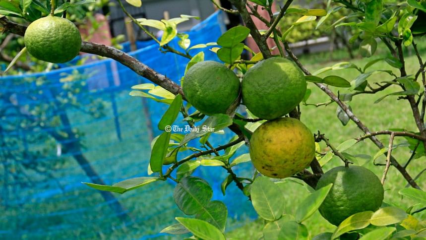 সাতকরা সাতকরা