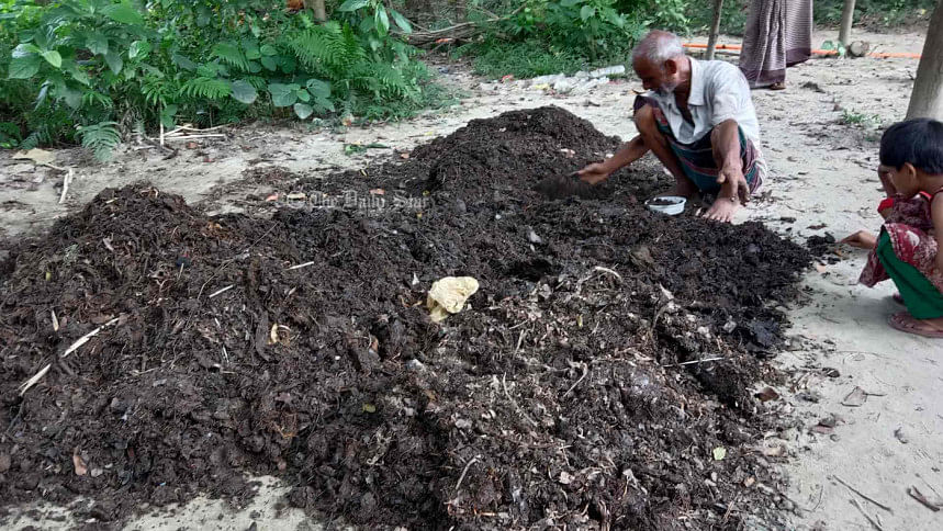 আদা : প্লাস্টিকের ব্যাগে বাণিজ্যিকভাবে আদা চাষ আদা চাষ