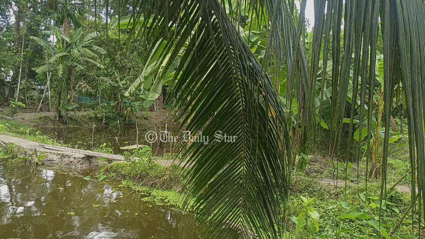 ১ কিলোমিটার খালে ৮ বাঁধ, ৫০০ একর কৃষি জমিতে জলাবদ্ধতা ১ কিলোমিটার খালে ৮ বাঁধ, ৫০০ একর কৃষি জমিতে জলাবদ্ধতা