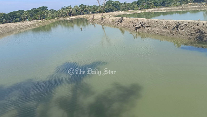 ‘রেঞ্জ কর্মকর্তার যোগসাজশে’ সংরক্ষিত বনের হাজারো গাছ উজাড়, মাটি লুট পটুয়াখালীর সংরক্ষিত বন