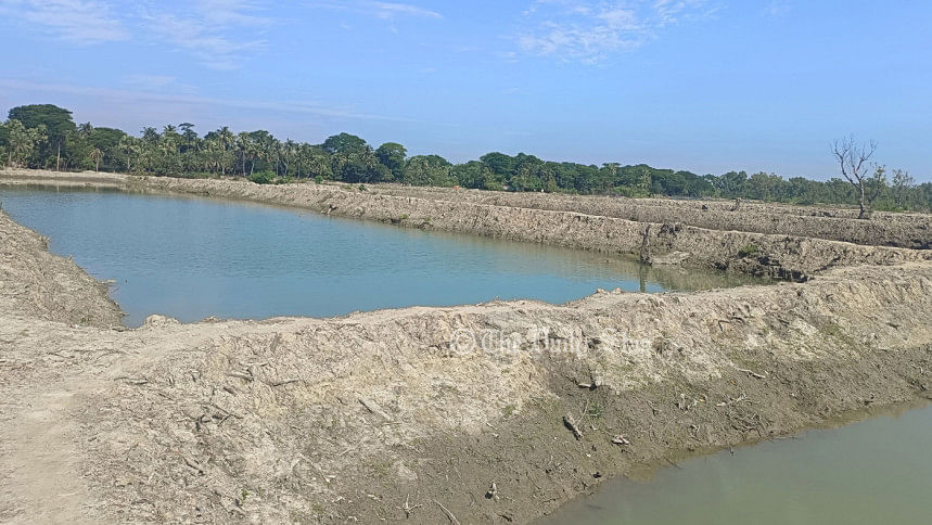 ‘রেঞ্জ কর্মকর্তার যোগসাজশে’ সংরক্ষিত বনের হাজারো গাছ উজাড়, মাটি লুট পটুয়াখালীর সংরক্ষিত বন