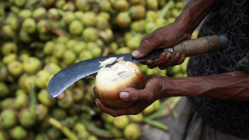 তালের শাঁসের উপকারিতা তালের শাঁসের উপকারিতা