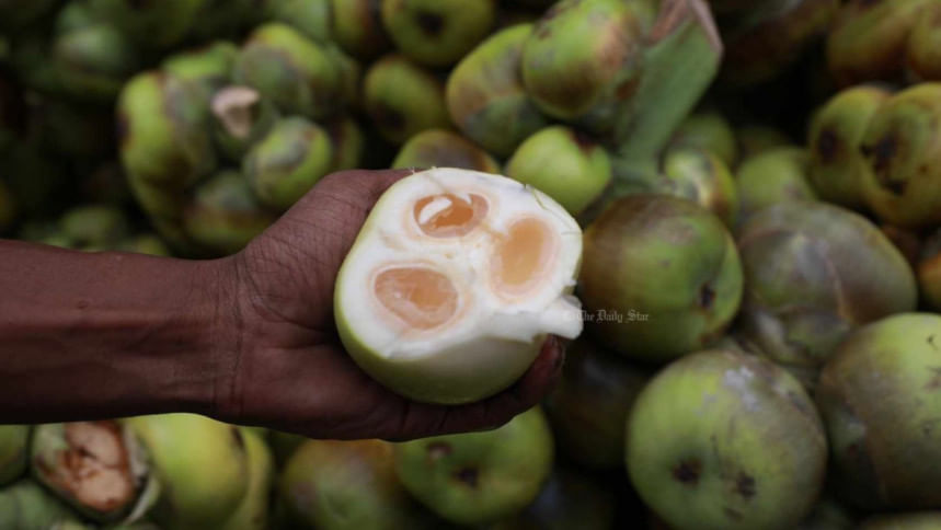 তালশাঁসের উপকারিতা তালশাঁসের উপকারিতা
