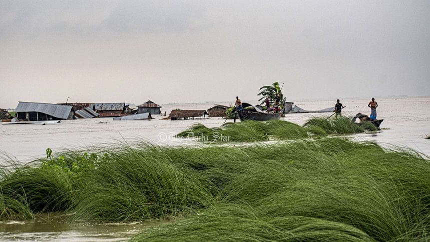 ৩ দিন হলো এভাবেই বন্যার পানিতে দাঁড়িয়ে আছে ঘোড়াগুলো ৩ দিন হলো এভাবেই বন্যার পানিতে দাঁড়িয়ে আছে ঘোড়াগুলো
