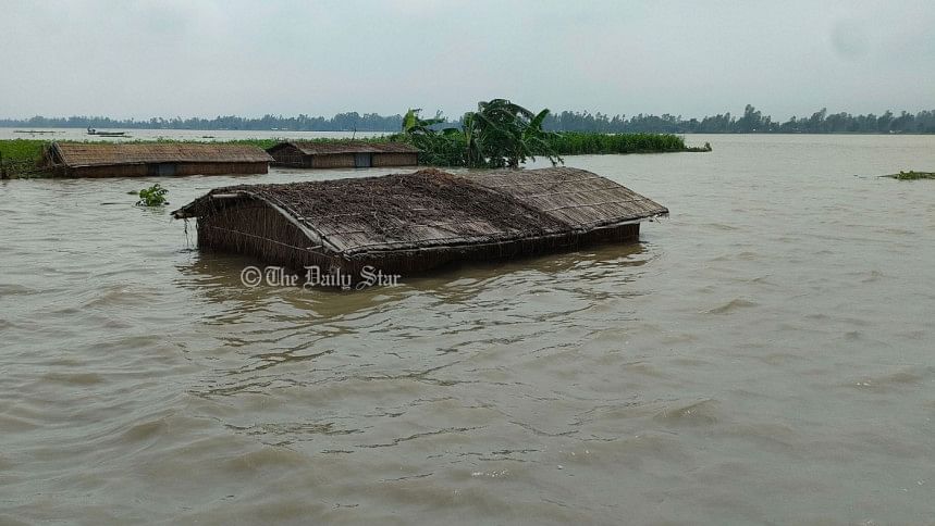 ৩ দিন হলো এভাবেই বন্যার পানিতে দাঁড়িয়ে আছে ঘোড়াগুলো ৩ দিন হলো এভাবেই বন্যার পানিতে দাঁড়িয়ে আছে ঘোড়াগুলো