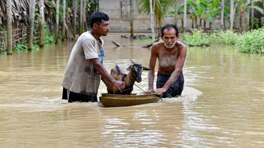 আসামের একটি গ্রামে বন্যাকবলিত এলাকায় প্রাণরক্ষার চেষ্টায় দুই ব্যক্তি ও তাদের পোষা ছাগল। ছবি: এএফপি (১ জুন, ২০২৫)