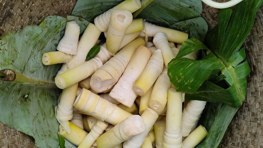 বাঁশ কোড়ল বাঁশ কোড়ল