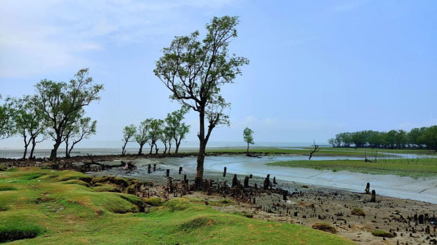 গুলিয়াখালী গুলিয়াখালী